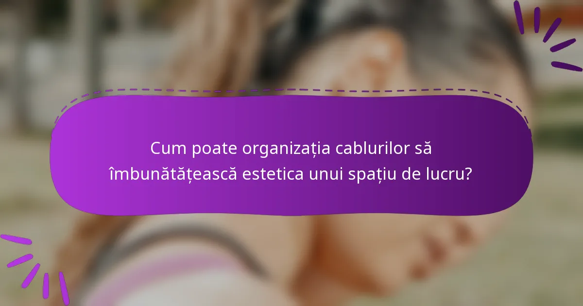 Cum poate organizația cablurilor să îmbunătățească estetica unui spațiu de lucru?
